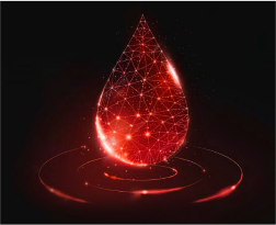 image03.png